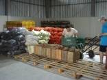 Banco de alimentos Ceasa - Fotografo: Secom / Divulgação - Data: 01/03/2016