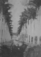 Imagem da Alameda Brüstlein, mais conhecida como Rua das Palmeiras, no ano de 1.910. - Fotografo: Reprodução Mauro Schlieck/Arquivo Histórico - Data: 05/07/2012
