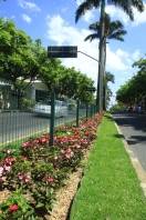 A Avenida JK está de cara nova e mais ampla e florida depois da conclusão do projeto de paisagismo - Fotografo: Mauro Artur Schlieck - Data: 17/11/2011