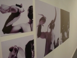 Obra da 43ª Coletiva de Artistas de Joinville, que abre na terça-feira, 10/de - Fotografo: Divulgação/Fundação Cultura - Data: 09/12/2013