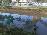 Nesta segunda-feira (12/12), iniciou a limpeza manual das margens do Rio Cachoeira. Este ano já é a segunda vez que a Prefeitura realiza o serviço neste rio, que cruza o centro da cidade. - Fotografo: Ruy Ferrari / Secom - Data: 12/12/2011