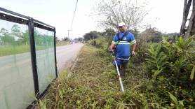 Subprefeitura Nordeste realiza roçada na Vila Cubatão - Fotografo: Rogerio da Silva - Data: 01/08/2014