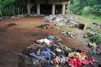 A Secretaria Regional do Boa Vista, com apoio da Ambiental e da Polícia Florestal, iniciou na manhã desta segunda-feira(9), um mutirão de limpeza sob a Ponte do Trabalhador, no bairro Boa Vista. - Fotografo: Ruy Ferrari/SEINFRA - Data: 09/04/2012