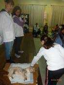 Palestra das veterinárias do CBEA na escola Curt Alvino Monich - Fotografo: Divulgação - Data: 09/07/2013