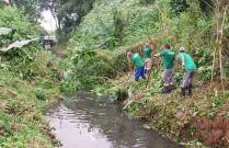 A Secretaria Regional do Costa e Silva trabalha na limpeza manual do Rio Cachoeira.  O serviço está sendo feito em um trecho que corta o bairro Costa e Silva, da rua João Colin (Terminal Norte) até a avenida Marquês de Olinda (próximo ao Colégio Estadual Giovani Faraco). - Fotografo: Ruy Ferrari - Data: 28/08/2012