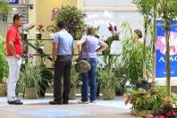Quem passar pelo Shopping Cidade das Flores, na praça de eventos, pode prestigiar uma Exposição de Orquídeas e Fotografias Antigas. - Fotografo: Kátia Nascimento - Data: 05/03/2012