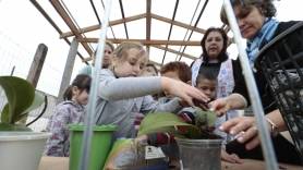 Projeto Escola em Flor no CEI Estrelinha Brilhante - Fotografo: Rogerio da Silva - Data: 24/06/2015