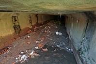 licitação para a contratação dos serviços de limpeza da galeria de drenagem da rua almirante pinto da luz e a limpeza do canal da rua Graciosa  até a rua Rio Doce, no Guanabara - Fotografo: Rogerio da Silva/Arquivo - Data: 03/11/2014