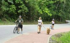 A rua Guilherme Rau, acesso ao morro do Parque da Boa Vista, está liberado para caminhada e bicicletas desde a manhã deste domingo (23/9). - Fotografo: Mauro Artur Schlieck - Data: 23/09/2012