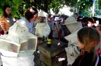 Viva Ciranda: projeto de turismo rural pedagógico divulga atividades como a apicultura - Fotografo: Divulgação - Data: 30/09/2013