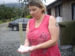 Moradora mostra o tamanho das pedras de granizo que danificaram 160 casas da região de Pirabeiraba, nesta terça-feira (25/9)..  - Fotografo: Defesa Civil - Data: 25/09/2012