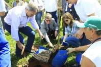 O Parque da Cidade recebeu uma muda de baobá, considerada a maior árvore do mundo. A iniciativa do plantio é da Associação Catarinense do Ministério Público e Rotary Clube Colon em parceria com o Ippuj - Fotografo: Mauro Artur Schlieck - Data: 21/10/2011