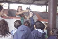 Alunos Escola Abdon Batista visitam abrigo animal no bairro Vila Nova. - Fotografo: Phelippe José - Data: 17/06/2015