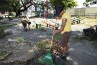 Sub Prefeitura Sudeste faz manutenção na praça Graciosa no Guanabara - Fotografo: Phelippe Jose - Data: 23/01/2014