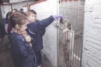 Alunos Escola Abdon Batista visitam abrigo animal no bairro Vila Nova. - Fotografo: Phelippe José - Data: 17/06/2015