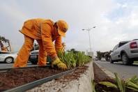 Plantio de flores na Av. Beira Rio - Fotografo: Rogerio da Silva - Data: 16/07/2014