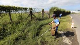 Subprefeitura Nordeste realiza roçada na região do Cubatão - Fotografo: Rogerio da Silva - Data: 08/04/2015