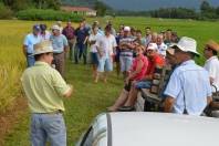 Fundação 25 de Julho e Epagri apresentam resultados de pesquisas com arroz - Fotografo: Divulgação/SECOM - Data: 18/03/2015