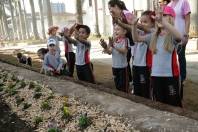 Nesta quarta-feira (4/7), crianças de um Centro de Educação Infantil ajudaram no plantio de flores na nova Rua das Palmeiras, que será entregue nesta quinta-feira (5/7) - Fotografo: Divulgação - Data: 04/07/2012